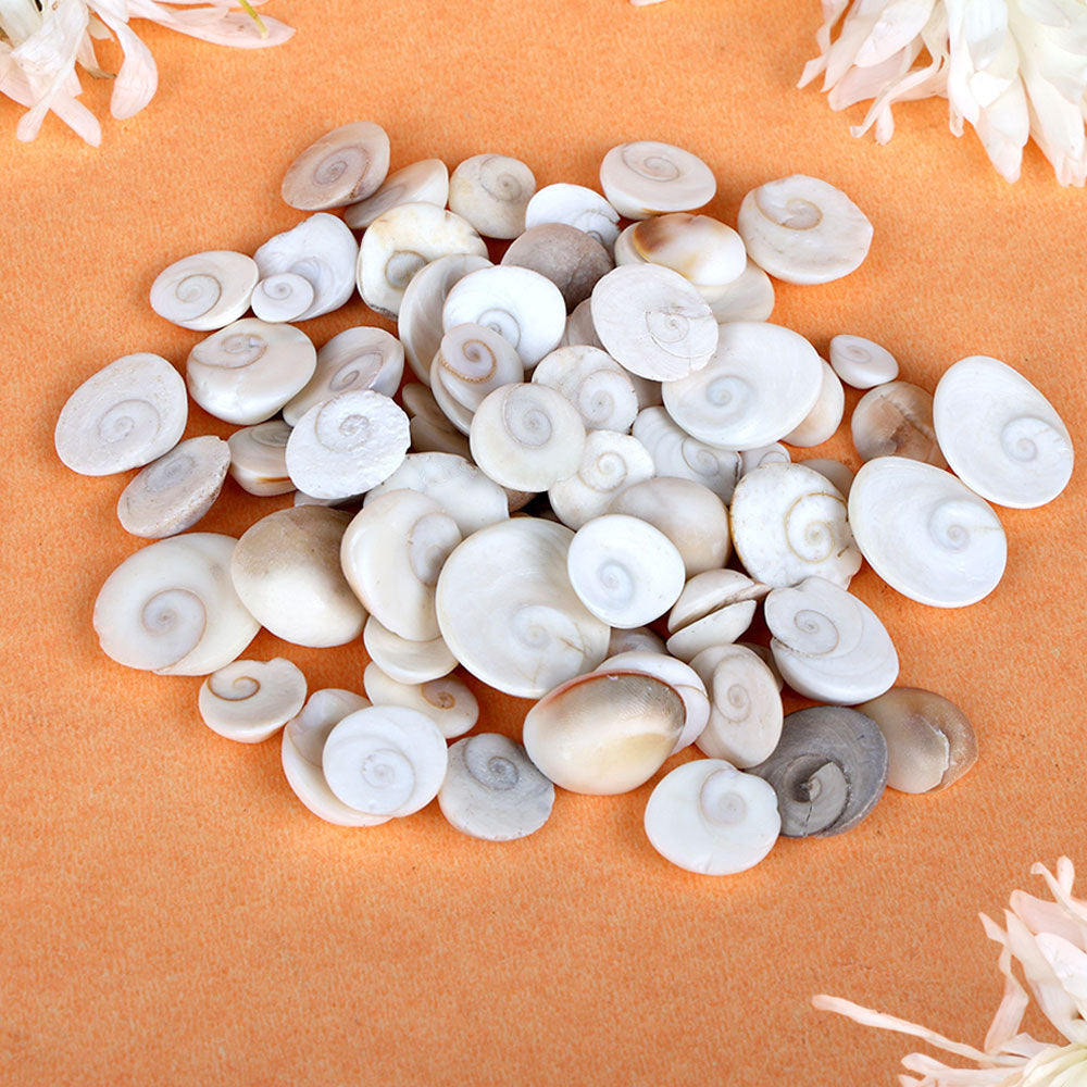 Premium Gomti Chakra