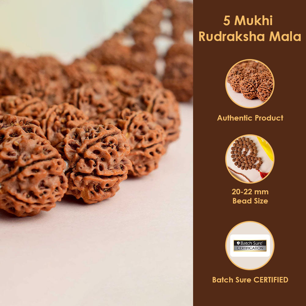 5 Mukhi Rudraksha Kantha Mala