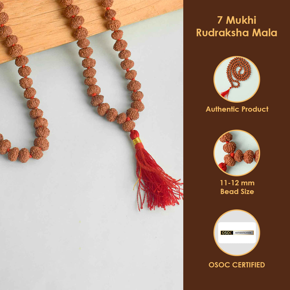 7 Mukhi Pathariya Rudraksha Mala 11-12 mm