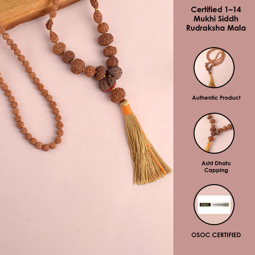 1–14 Mukhi Siddh Rudraksha Mala with Asht Dhatu Capping 100% Original & Certified