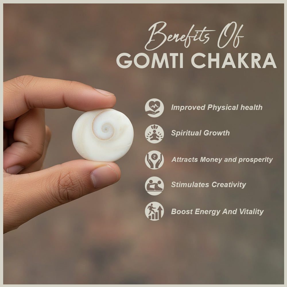 Premium Gomti Chakra