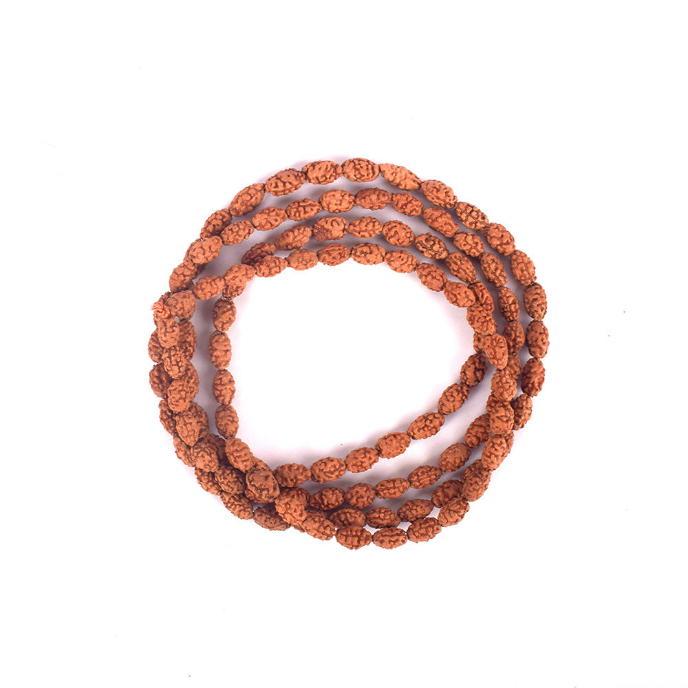 2 Mukhi Semi Pathriya Rudraksha Mala (4–6mm) for Spiritual Balance
