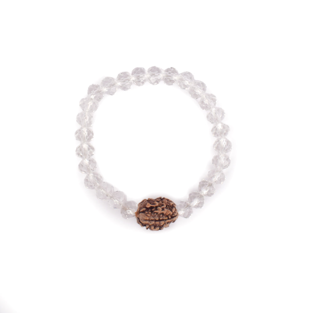 3 Mukhi Rudraksha Glass crystal beads Bracelet