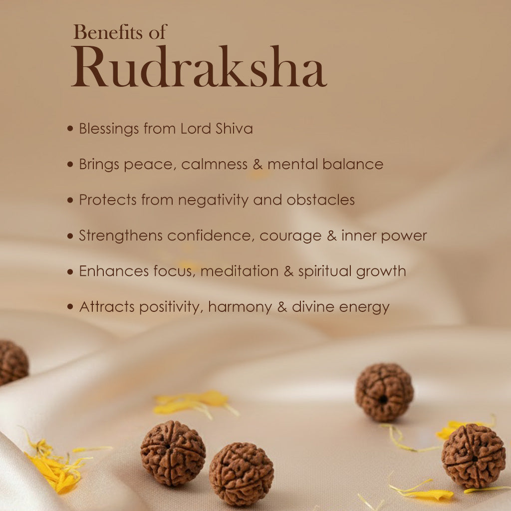 10 Mukhi Pathariya Rudraksha Mala 8-9mm