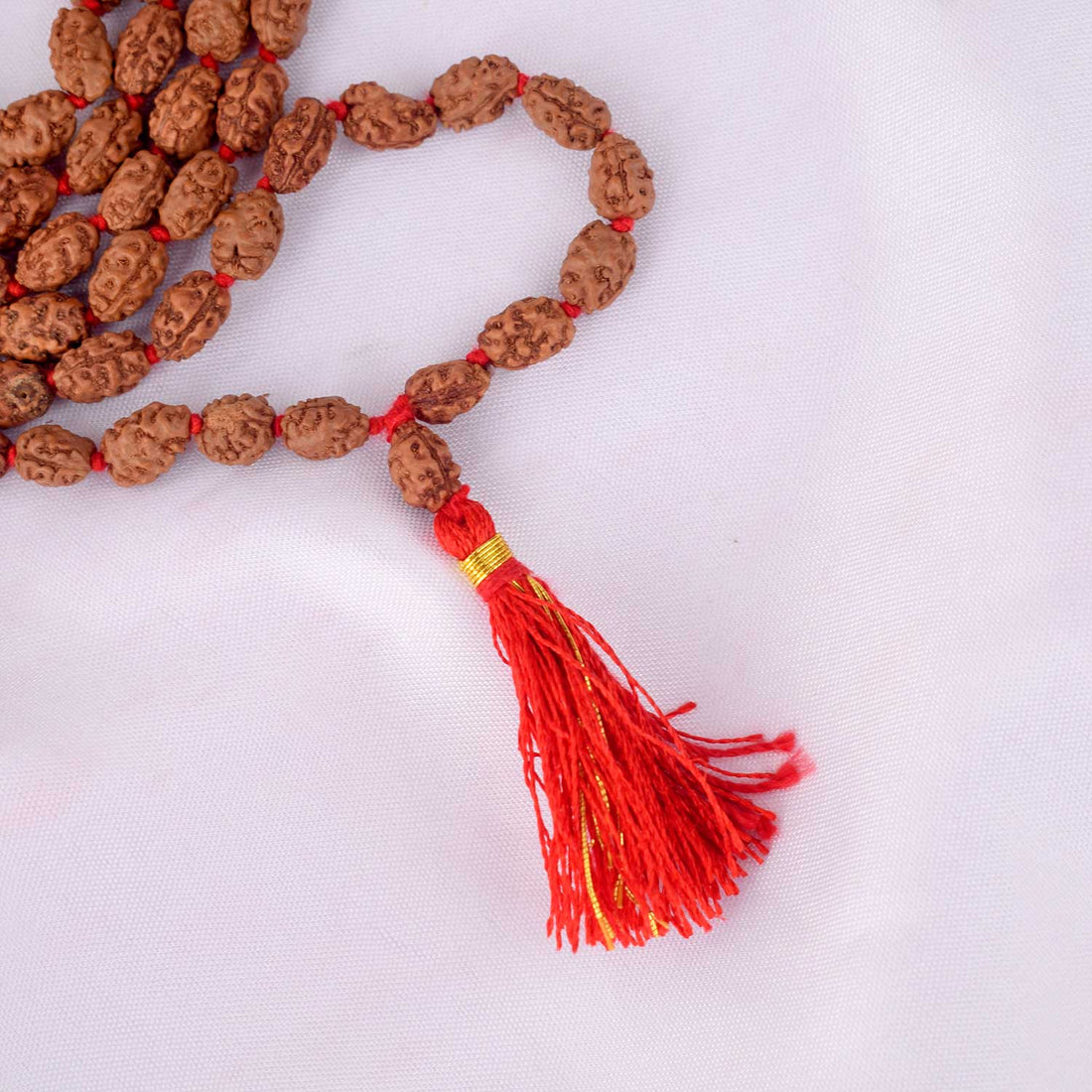 2 Mukhi Pathariya Rudraksha Mala (6-7mm)