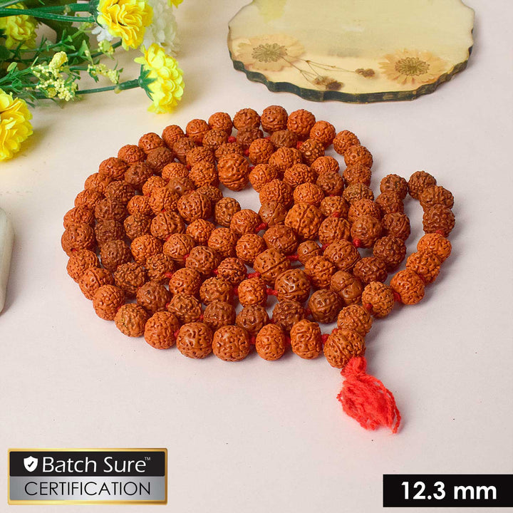Certified 108 bead Rudraksha mala in dark brown color, used for japa and meditation. India’s Premium Rudraksha Jap Mala Store- www.satvikstore.in