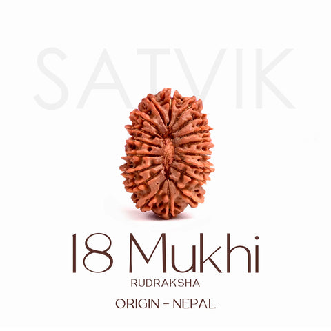 Certified 18 Mukhi Rudraksha Bead β Original Natural Rudraksha for Wealth, Health, and Spiritual Growth. Indiaβs Largest Brass Idols Brand - www.satvikstore.in