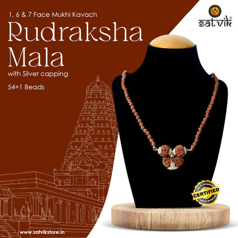 Certified 1, 6 & 7 Mukhi Rudraksha Kavach with silver capping β natural brown beads spiritual string from Nepal. Indiaβs Premium Rudraksha Jap Mala Store- www.satvikstore .in