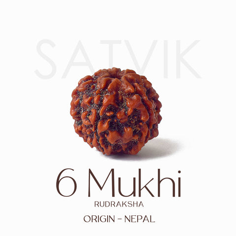 Certified 6 Mukhi brown Rudraksha bead placed on red fabric, symbolizing courage, focus, and inner discipline for spiritual and professional growth. Indiaβs Largest Pooja Accessories Brand - www.satvikstore.in