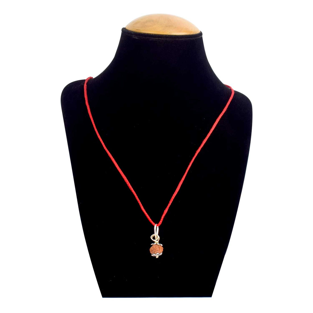 Certified 7 Mukhi Rudraksha Pendant