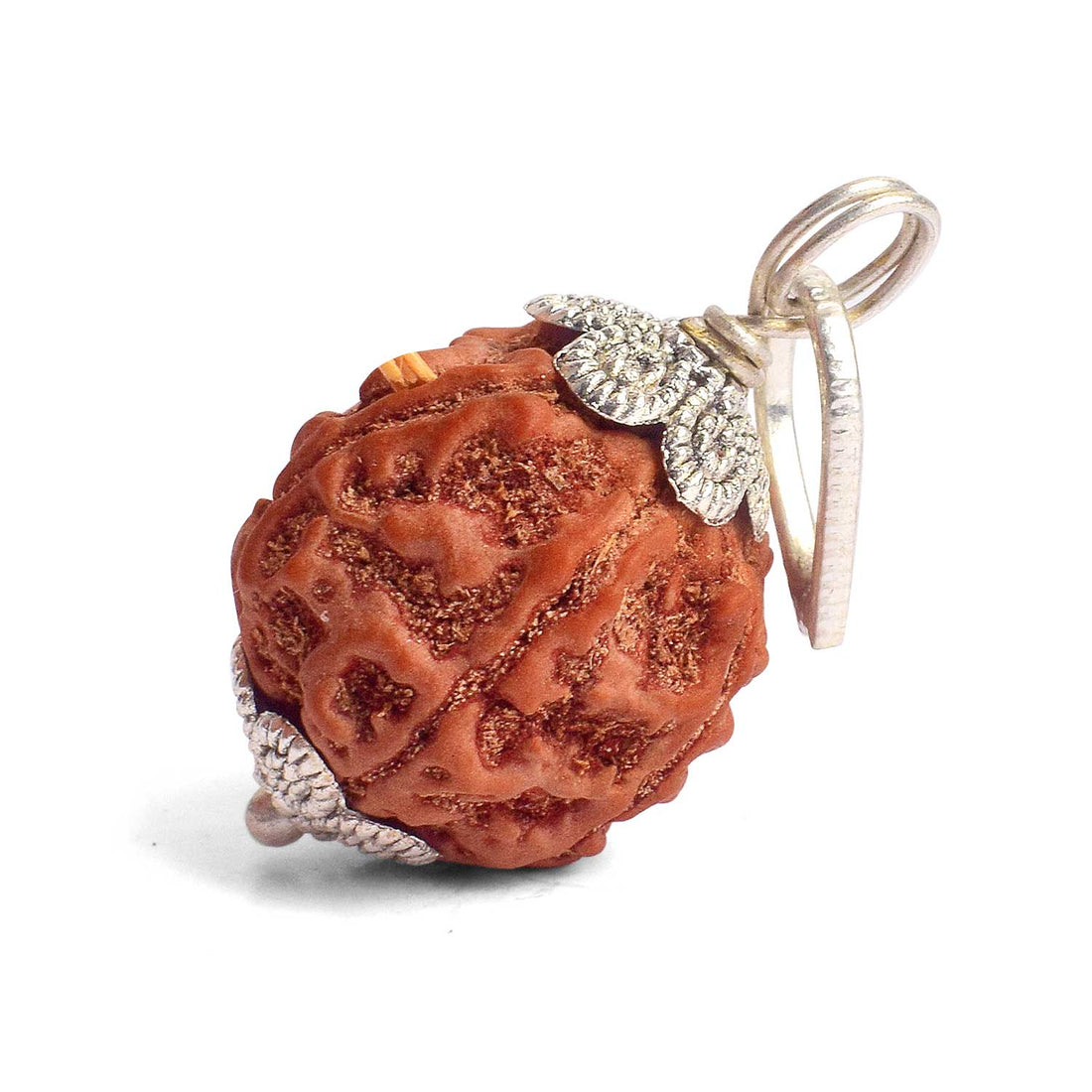 Certified 5 Mukhi Rudraksha Pendant