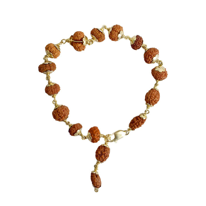 Certified 1 to 14 Mukhi Rudraksha bracelet with brown beads and silver capping, designed for spiritual protection and holistic well-being. India’s Premium Rudraksha Jap Mala Store- www.satvikstore .in