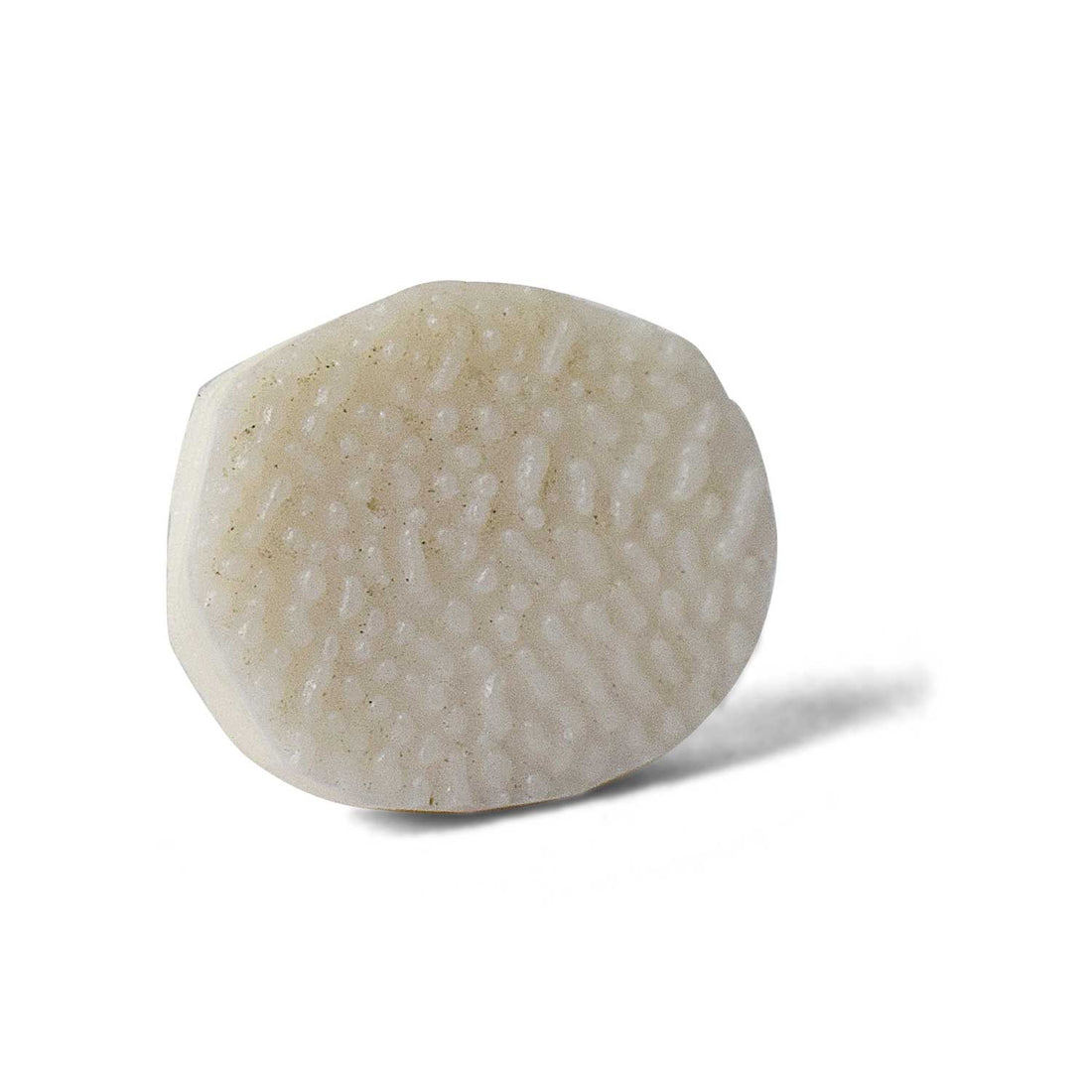 Certified Surya Mani (Machh Mani) in White Finish for Divine Radiance & Sun Energy