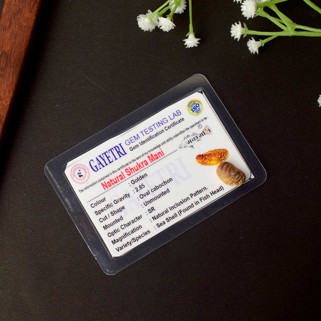 Certified Natural Shukra Mani (Machh Mani) in Golden Finish for Venus Blessings