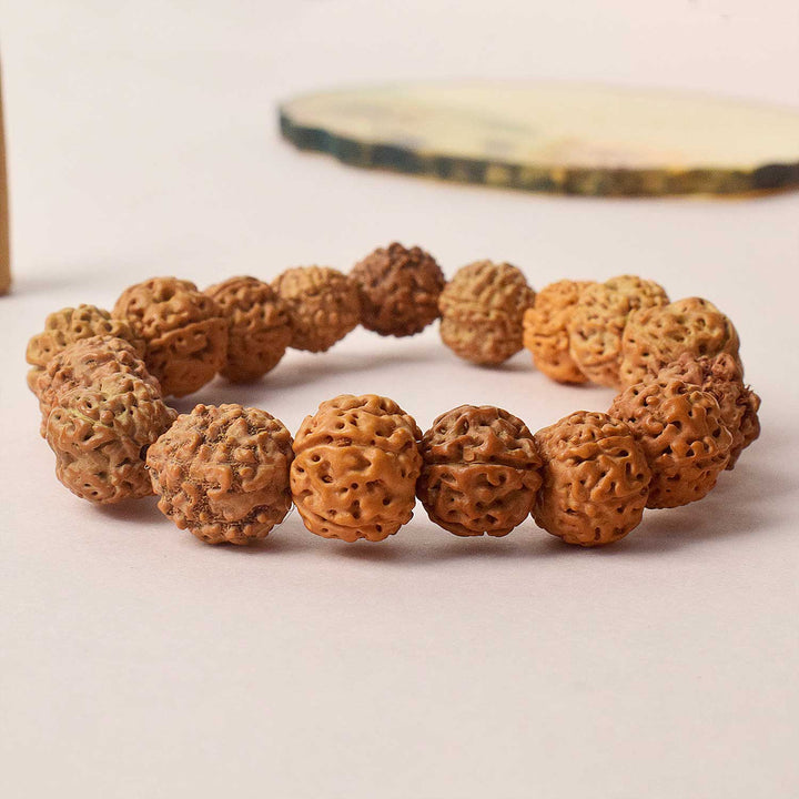 Certified brown rudraksha bracelet with silver capping, worn for spiritual protection and healing. India’s Premium Rudraksha Jap Mala Store- www.satvikstore.in
