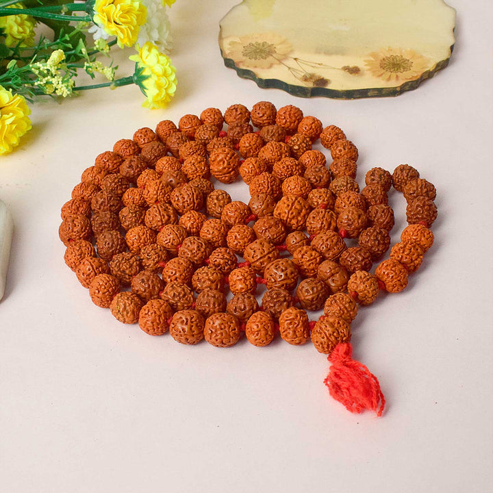 Certified 108 bead Rudraksha mala in dark brown color, used for japa and meditation. India’s Premium Rudraksha Jap Mala Store- www.satvikstore.in