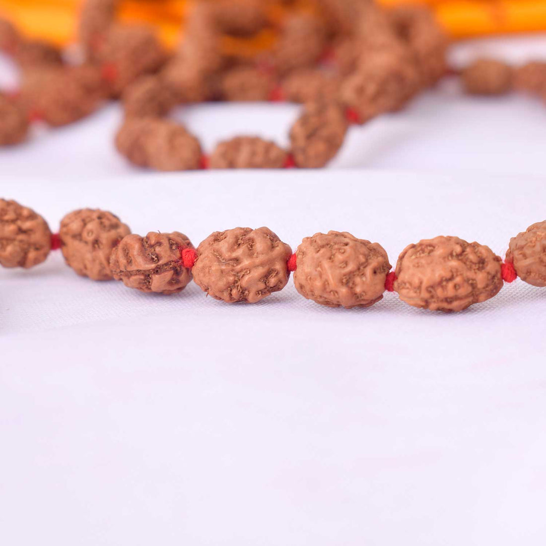 2 Mukhi Pathariya Rudraksha Mala (6-7mm)
