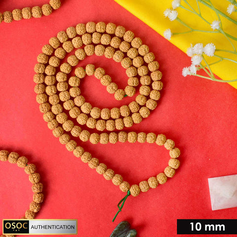 Semi Pathariya Rudraksha Mala with natural brown beads for meditation and spiritual chanting. Indiaβs Premium Rudraksha Jap Mala Store- www.satvikstore.in