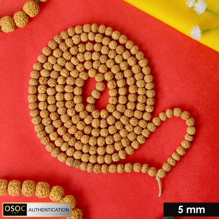 Semi Pathariya Rudraksha Mala with natural brown beads for meditation and spiritual chanting. Indiaβs Premium Rudraksha Jap Mala Store- www.satvikstore.in
