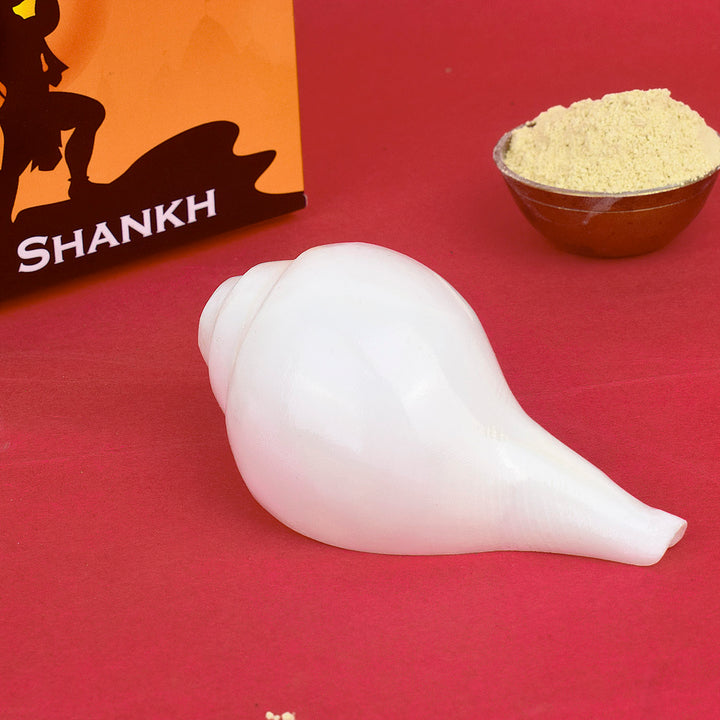 Vamavarti Shankha (Conch Shell), a natural left-turning blowing conch used in Hindu rituals and temple ceremonies to invoke divine energy and purity. 
India’s Largest Pooja Accessories Brand – www.satvikstore.in