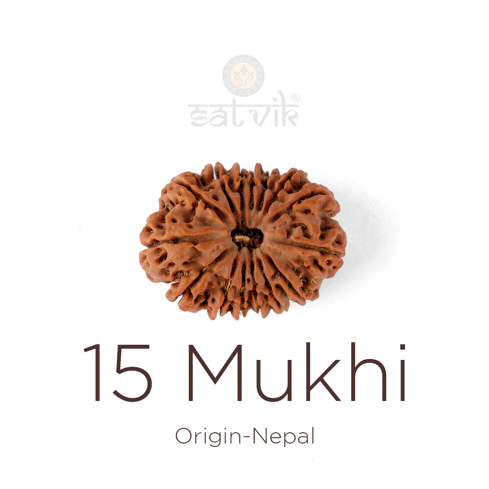 15 Mukhi Rudraksha: Complete Guide to Emotional Healing, Heart Chakra & Inner Peace