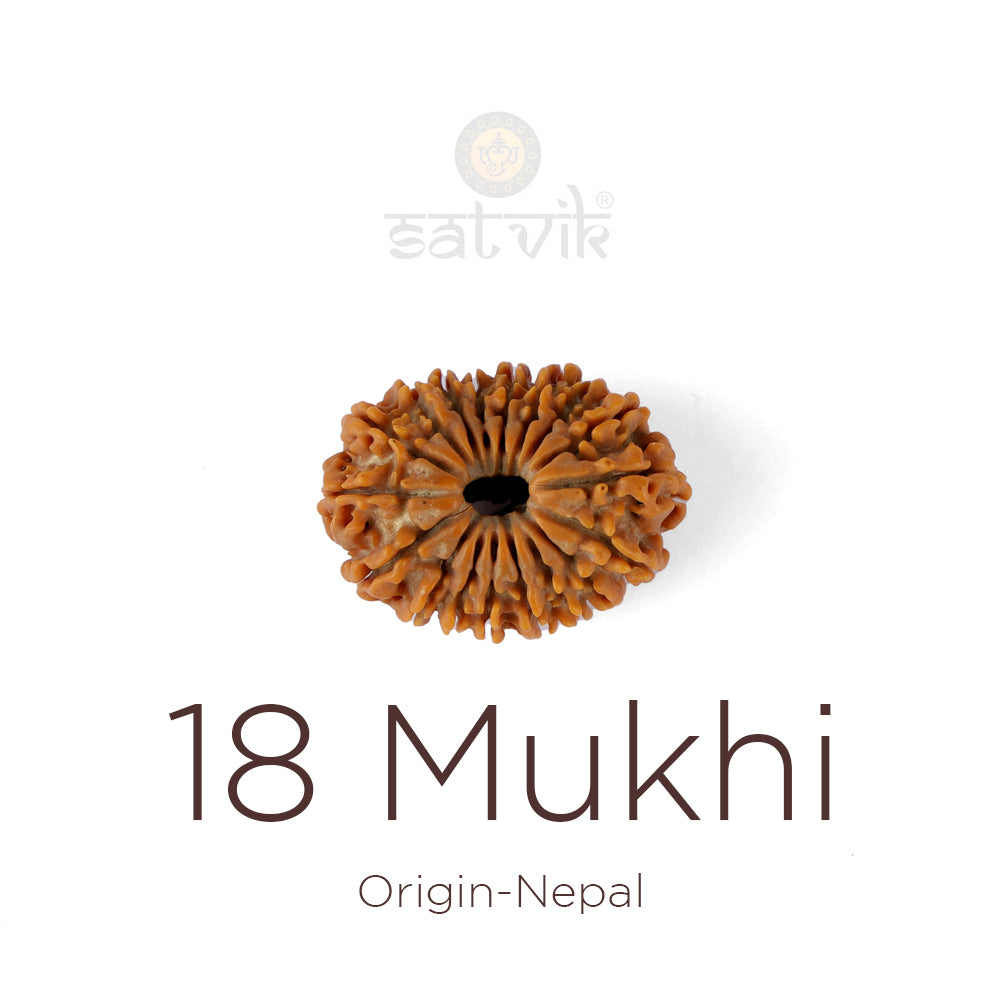 18 Mukhi Rudraksha: Complete Guide to Benefits, Significance & How to Wear It