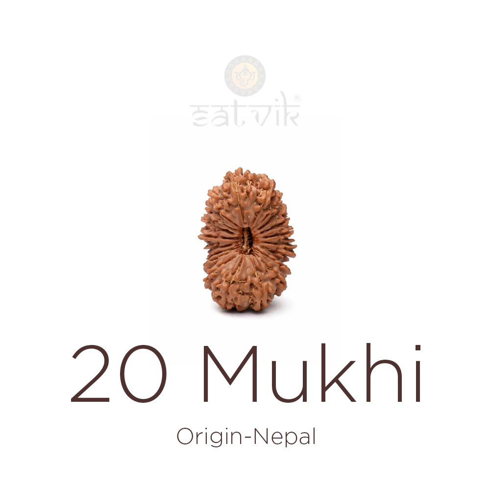 20 Mukhi Rudraksha: The Divine Bead of Lord Brahma for Wisdom, Vision & Limitless Success