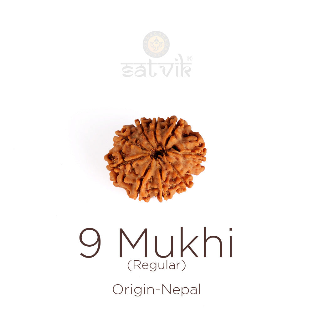 9 Mukhi Rudraksha: Symbolism, Nav Durga Connection & Complete Authenticity Guide
