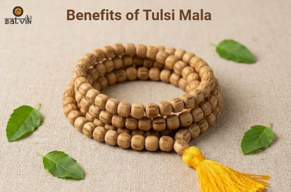 Tulsi Mala Benefits, Rules and How to Wear It: A Complete Guide