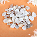 Premium Gomti Chakra
