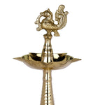 13 Inch Pure Brass Peacock Kerala Diya