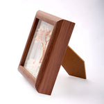 Clear Quartz Tree with Frame Decorative Spiritual Piece