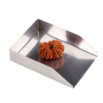 15 Mukhi Rudraksha (26.08mm)