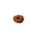 17 Mukhi Rudraksha