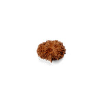 17 Mukhi Rudraksha