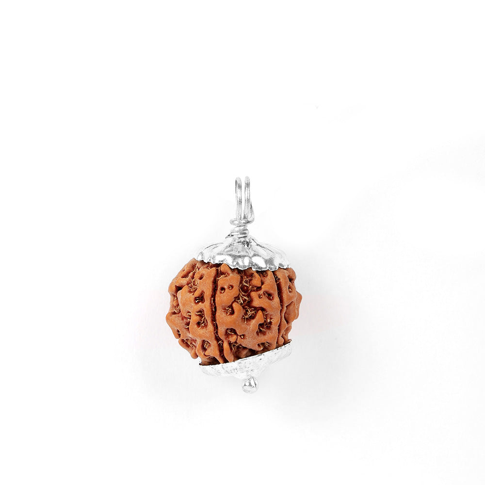 5 Mukhi Rudraksha Pendant with Silver Cap