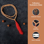 5 Mukhi Pathariya Rudraksha Mala 108 Beads 6mm