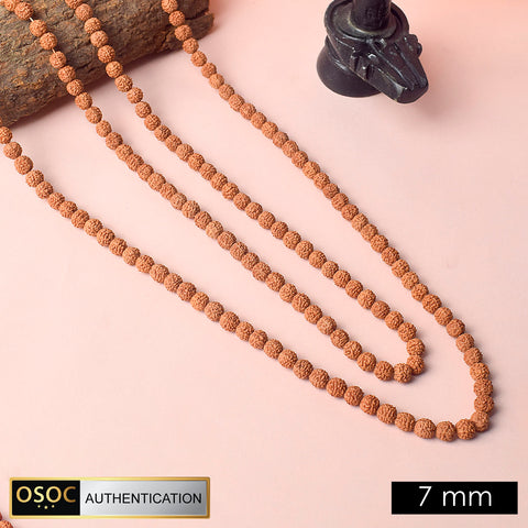 5 Mukhi 108 Beads 7mm Pathariya Rudraksh Mala