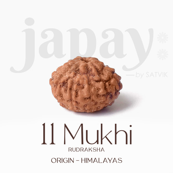 Certified 11 Mukhi brown Rudraksha bead from Indo origin placed on red cloth, symbolizing divine protection, mental clarity, and Lord Hanuman's blessings. India’s Largest Pooja Accessories Brand - www.satvikstore.in