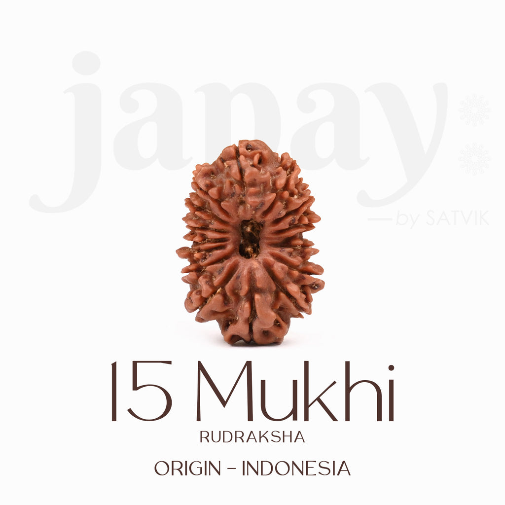 Certified 15 Mukhi Rudraksha Bead from Indonesia – Sacred natural bead representing Lord Pashupatinath, known for emotional healing, love, and spiritual elevation. India’s Largest Brass Idols Brand - www.satvikstore.in
