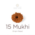 15 Mukhi Rudraksha bead natural Nepali fifteen face Rudraksha. India’s Premium Rudraksha Beads Brand - www.satvikstore.in