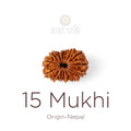 15 Mukhi Rudraksha bead natural Nepali fifteen face Rudraksha. India’s Premium Rudraksha Beads Brand - www.satvikstore.in