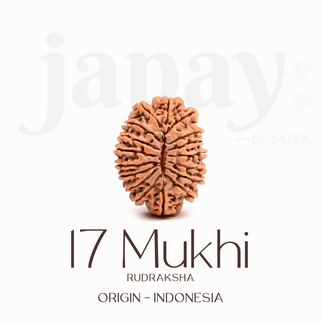 Certified 17 Mukhi Rudraksha Bead – Indonesia origin bead representing Goddess Katyayani, known for bringing prosperity, success, spiritual growth, and fulfillment of desires. India’s Largest Brass Idols Brand - www.satvikstore.in
