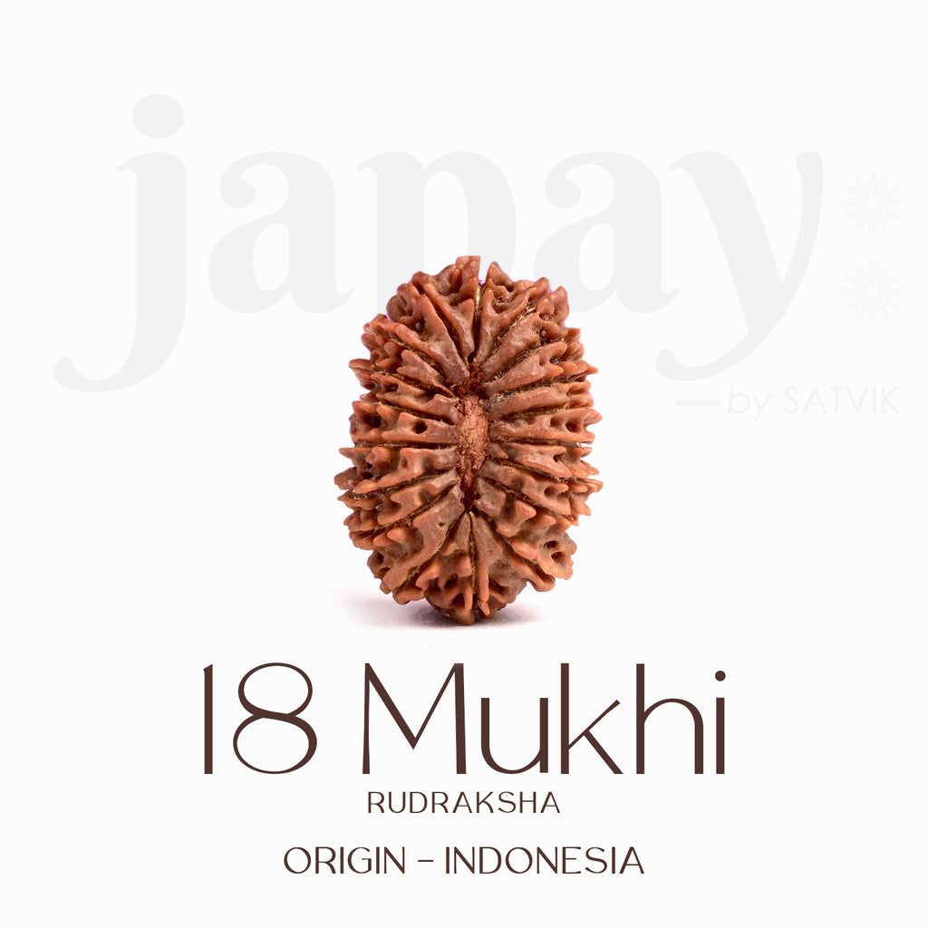 Certified 18 Mukhi Rudraksha Bead – Indonesia origin divine bead representing Goddess Bhumi Devi, known for enhancing stability, prosperity, and protection from negative energies.India’s Largest Brass Idols Brand - www.satvikstore.in
