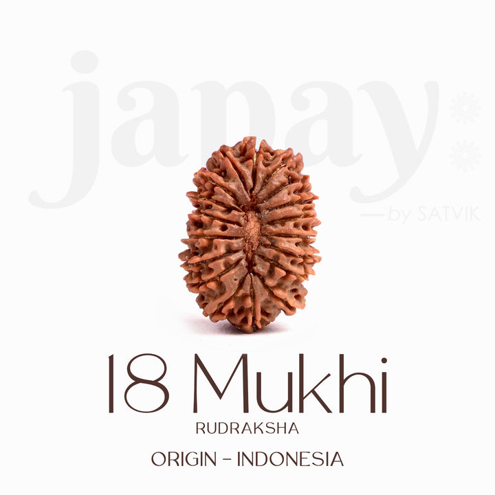 Certified 18 Mukhi Rudraksha Bead – Indonesia origin divine bead representing Goddess Bhumi Devi, known for enhancing stability, prosperity, and protection from negative energies.India’s Largest Brass Idols Brand - www.satvikstore.in
