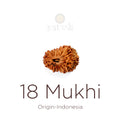 18 Mukhi Rudraksha bead natural Indo eighteen face Rudraksha. India’s Premium Rudraksha Beads Brand - www.satvikstore.in