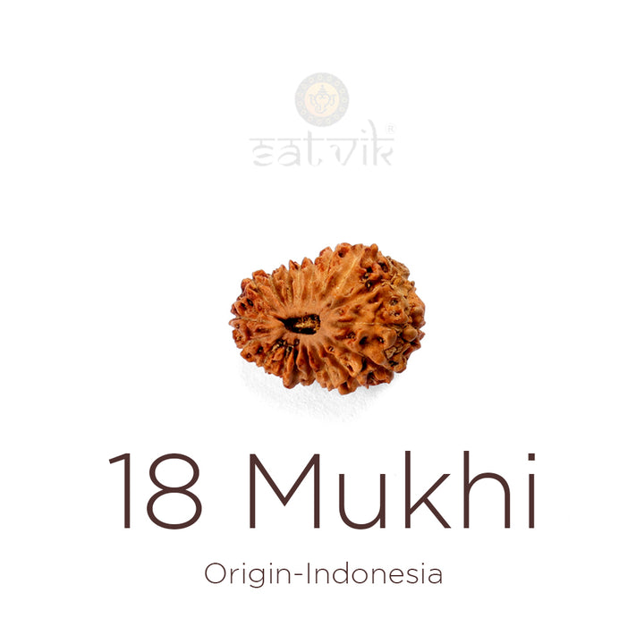 18 Mukhi Rudraksha bead natural Indo eighteen face Rudraksha. India’s Premium Rudraksha Beads Brand - www.satvikstore.in