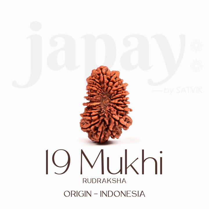 Certified 19 Mukhi Rudraksha Bead – Indonesian origin spiritual bead representing Lord Vishnu, known for abundance, success, and protection in all endeavors. India’s Largest Brass Idols Brand - www.satvikstore.in
