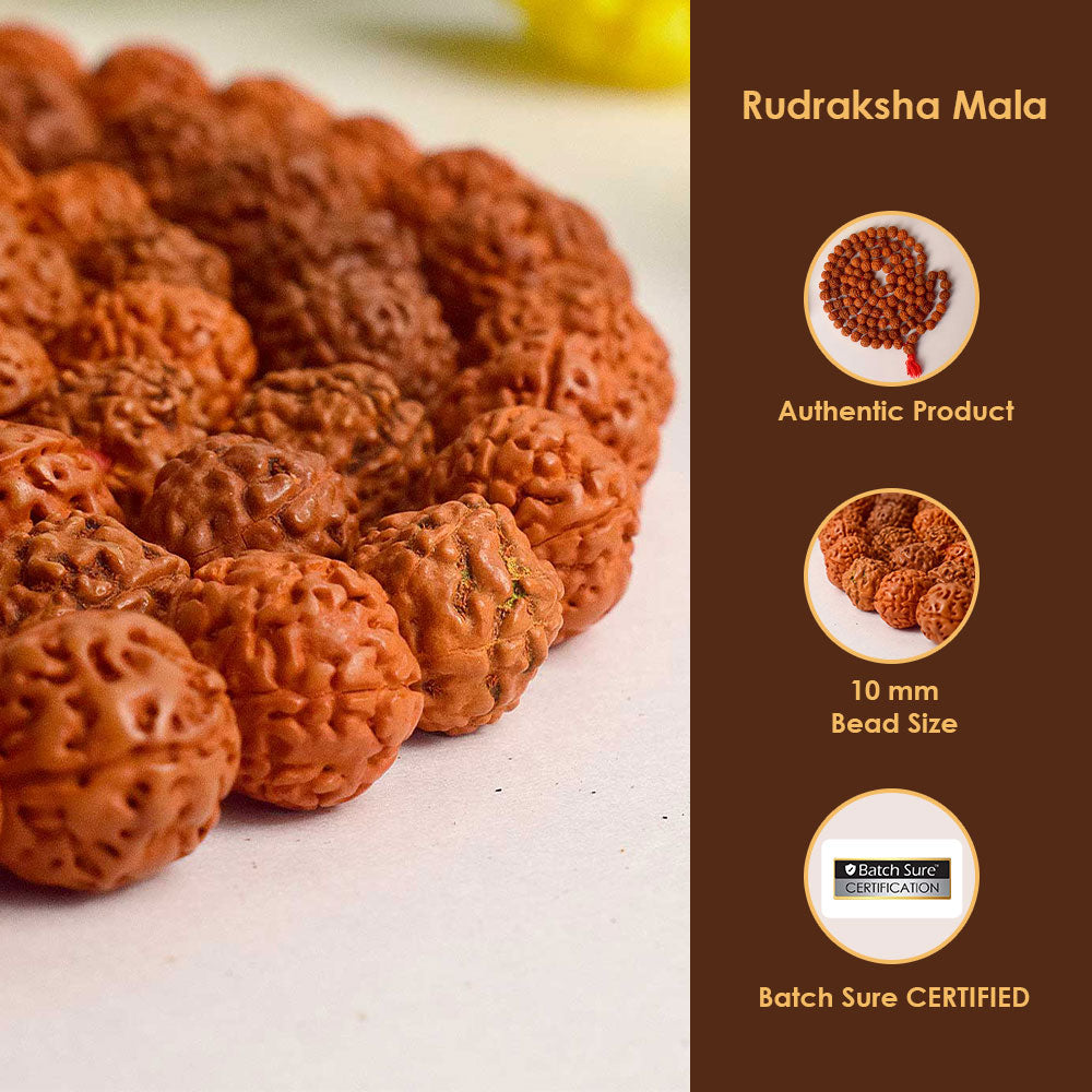 5 Mukhi 10 MM Rudraksha Mala – Natural Spiritual Healing Beads