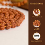 5 Mukhi Rudraksha Mala  Natural Brown 8mm Beads for Meditation